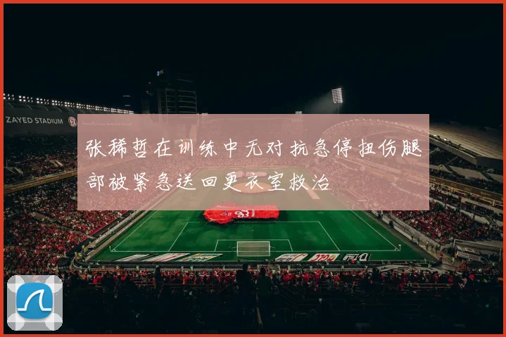 张稀哲在训练中无对抗急停扭伤腿部被紧急送回更衣室救治